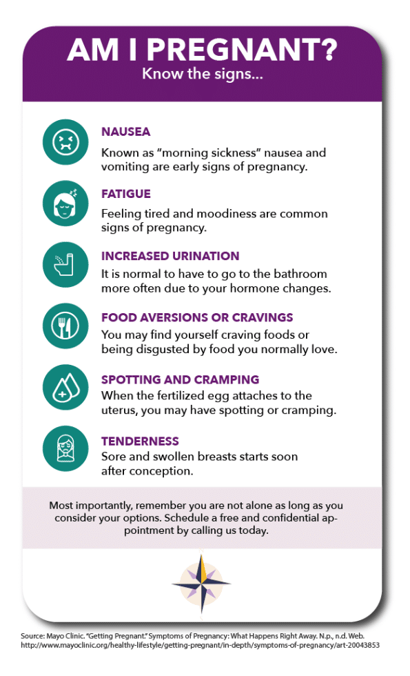 Copy of Copy of Am I Pregnant InfoG 4