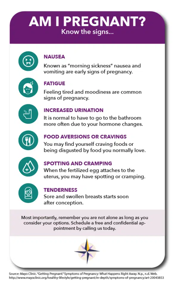 Copy of Copy of Am I Pregnant InfoG 4